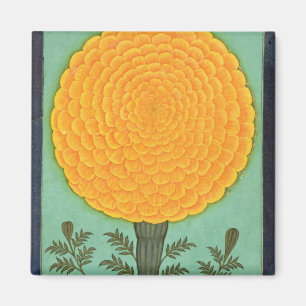 Aimant Un souci, du petit album de Clive (la semaine sur