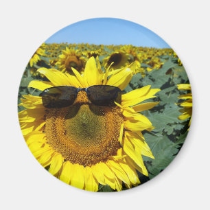 Aimant Un visage dans la foule