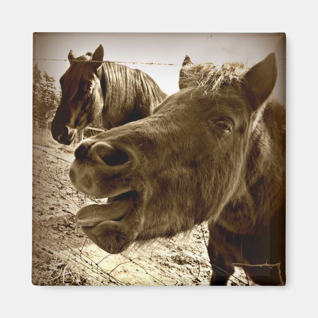 Aimant Un vrai ami (Devant)