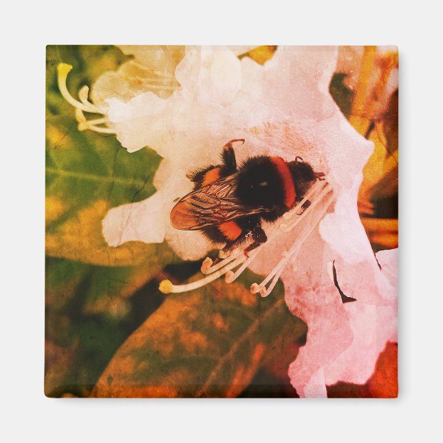 Aimant Une abeille - partie de la série d'insectes (Devant)