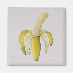 Aimant Une banane à moitié pelée 1997