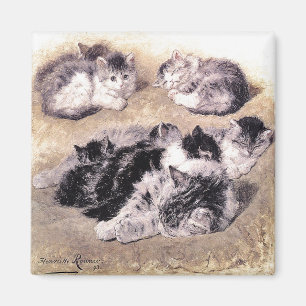 Aimant : Une étude des chats