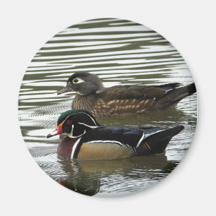 Aimant Une paire de canards à bois