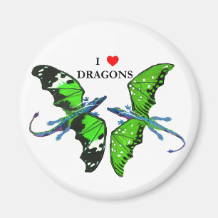 Aimant Une paire de dragons