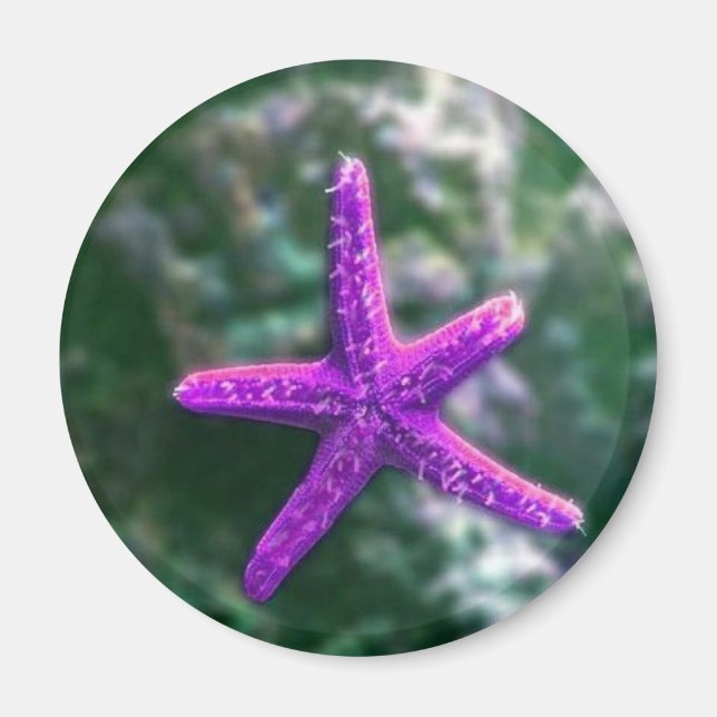 Aimant Une Plage Rocky Starfish violette (Devant)