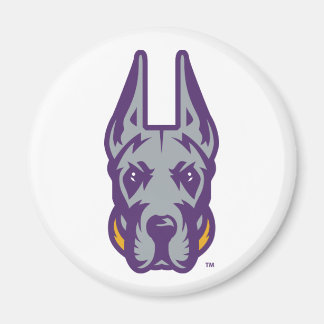 Aimant Université d'Albany Chef de la mascotte Great Dane