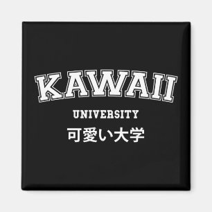 AIMANT UNIVERSITÉ DE KAWAII
