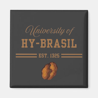 Aimant University of Hy-Brasil, Est. 1325