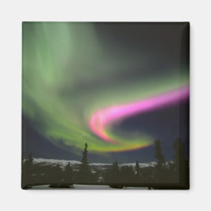 Aimant USA, Alaska, Chena Hot Springs. Aurora 2
