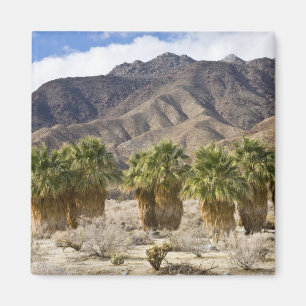 Aimant USA, Californie, Anza-Borrego Desert State Park.