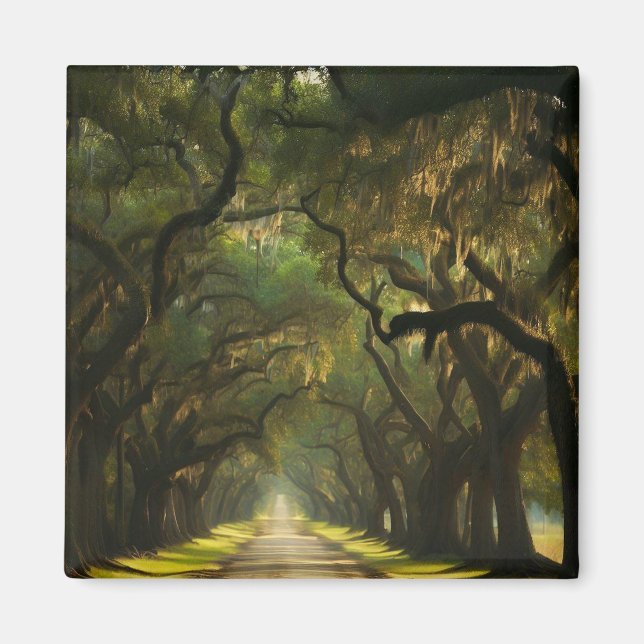 Aimant USA, Géorgie, Savannah, Une conduite bordée de chê (Devant)