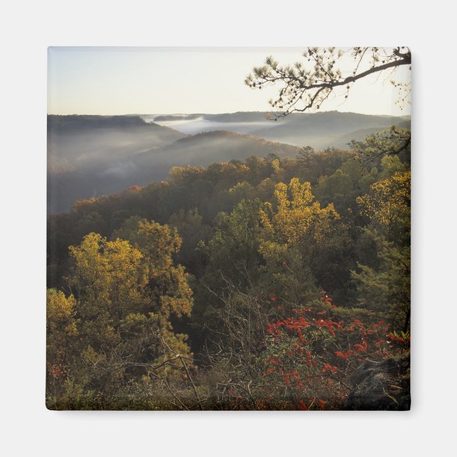 Aimant USA, Kentucky. Forêt nationale Daniel Boone. (Devant)