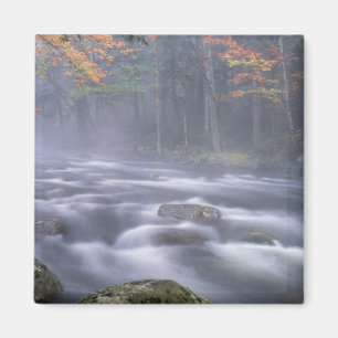 Aimant USA, New York, Adirondacks, Big Moose River