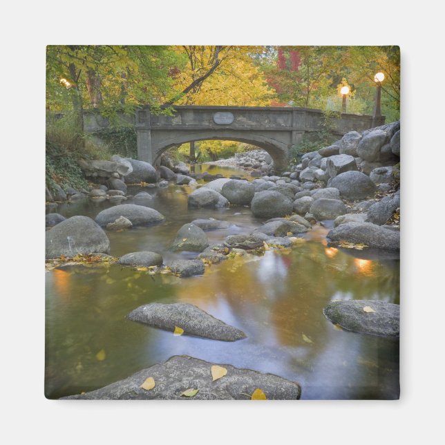 Aimant USA, Oregon, Ashland, Lithia Park. Automne (Devant)