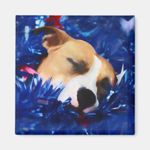 Aimant USA Patriotique Chien American Pit Bull Terrier