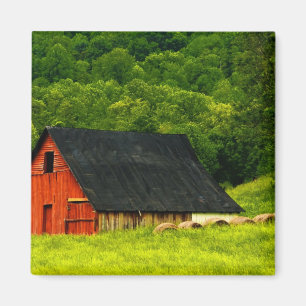 Aimant USA, Virginie, Shenandoah National Park, 2