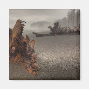 Aimant USA, Washington, Olympic National Park, Rialto 2