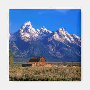 Aimant USA, Wyoming, Grand Teton National Park, Matin