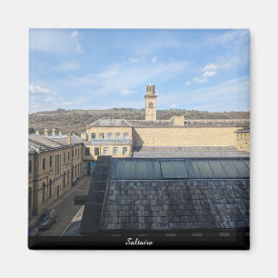 Aimant Usine de sel