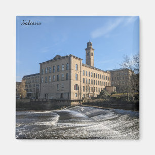 Aimant Usine de sel