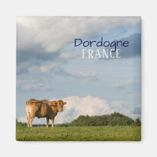 Aimant Vache blonde à d'Aquitaine dans la région de