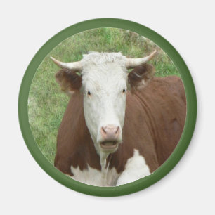 Aimant Vache dans l'aimant de caméo à l'herbe