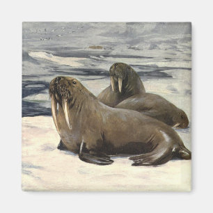 Aimant Vagues vintages dans la neige arctique par cygne C