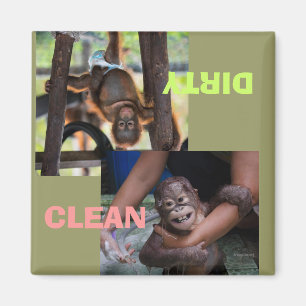 Aimant Vaisselle propre ou sale