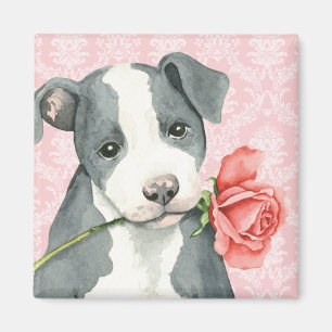 Aimant Valentine Rose Pit Bull
