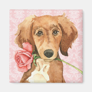 Aimant Valentine Saluki rose
