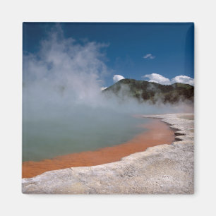 Aimant Vapeur s'élevant de Champagne Pool à WAI-O-TAPU