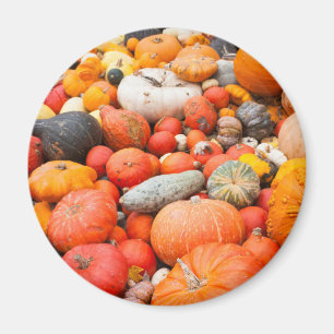 Aimant Variété de courge à vendre, Allemagne