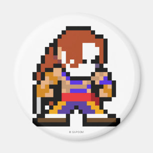 Aimant Vega à 8 bits