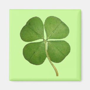 Aimant Véritable Shamrock de fermeture à 4 feuilles