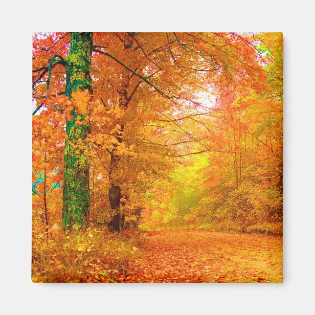 Aimant Vermont Autumn Nature Paysage (Devant)