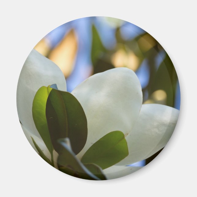 Aimant Verre tendu Ciel Magnolia Sud Cadeaux Vêtements (Devant)