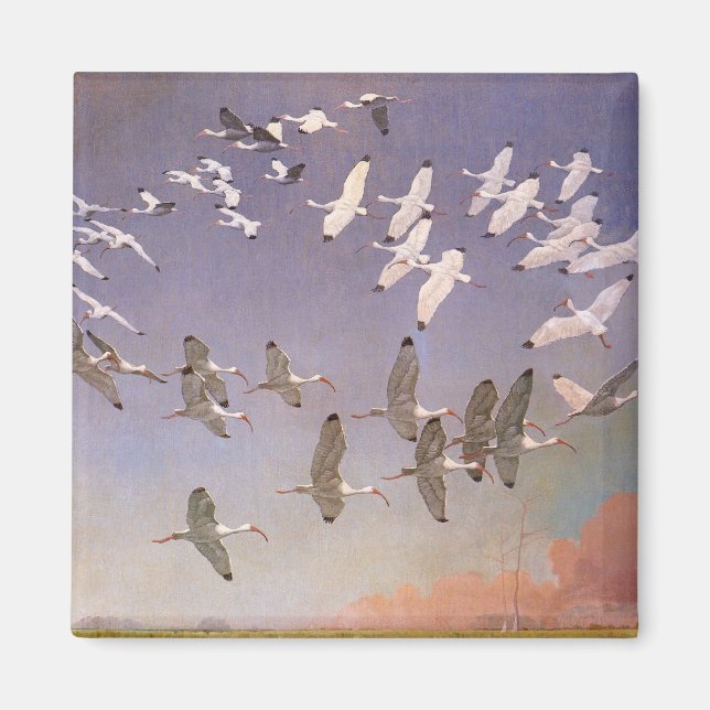 Aimant Vestige d'Ibis survolant les zones humides, les oi (Devant)