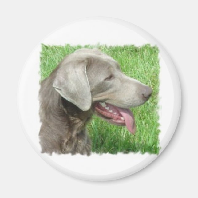 Aimant Vêtements Et Articles De Retriever Du Labrador (Devant)