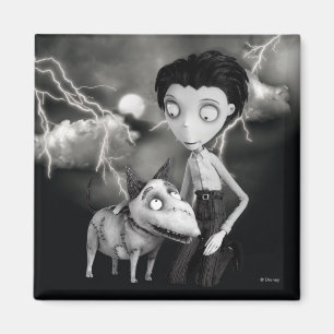 Aimant Victor et Sparky