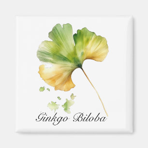 Aimant Vie de plantes : aquarelle de la feuille de Ginkgo