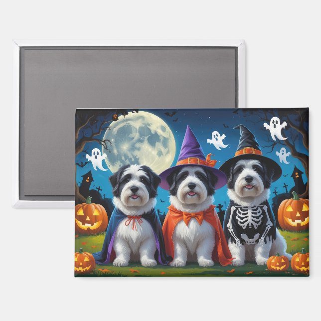 Aimant Vieux bergers anglais Citrouille Halloween Funny (Recto/Verso)