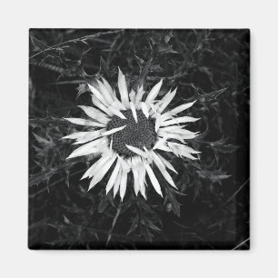 Aimant Vieux Fleur