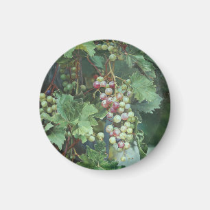 Aimant Vigne Réaliste avec Feuilles – Art Fin