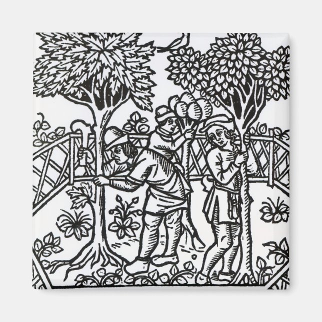 Aimant Vignes (Devant)