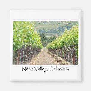 Aimant Vignoble de printemps à Napa Valley en Californie