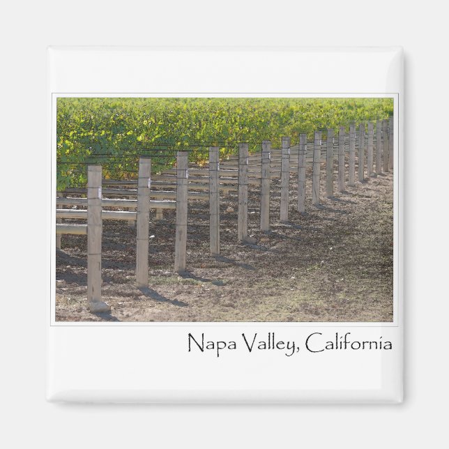 Aimant Vignoble Napa Valley California (Devant)