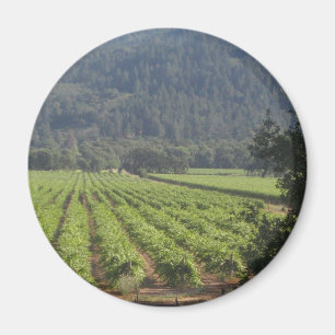 Aimant Vignobles de Napa Valley I