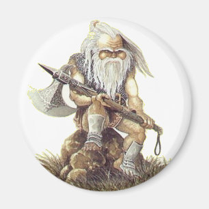 Aimant Viking