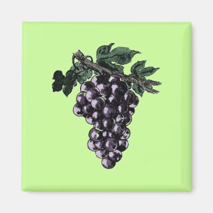Aimant Vins de raisin