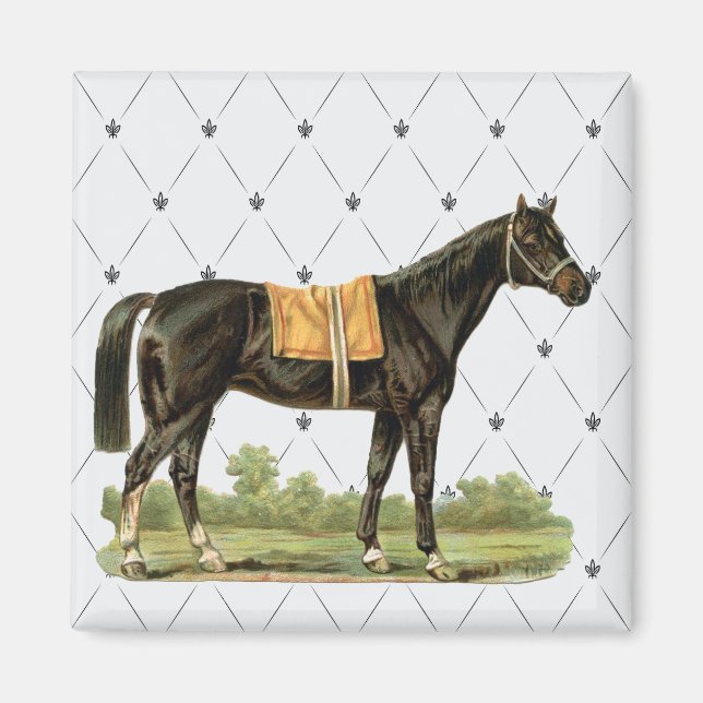 Aimant vintage Cheval (Devant)